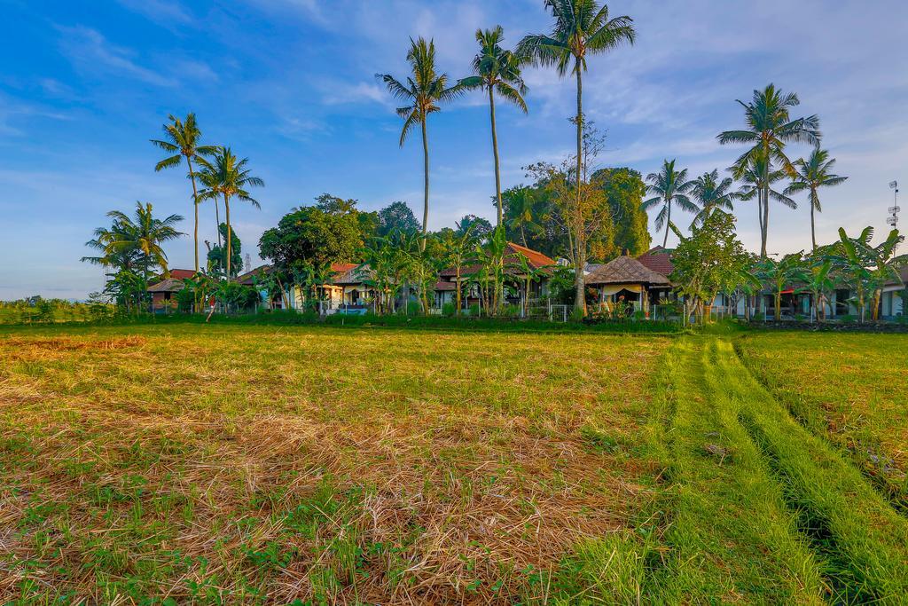 Villa Kaba Kaba Resort Canggu Exteriör bild