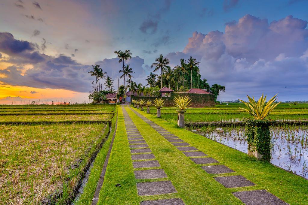 Villa Kaba Kaba Resort Canggu Exteriör bild