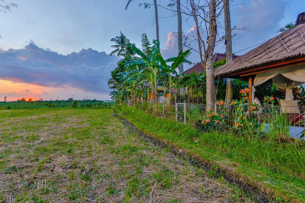 Villa Kaba Kaba Resort Canggu Exteriör bild