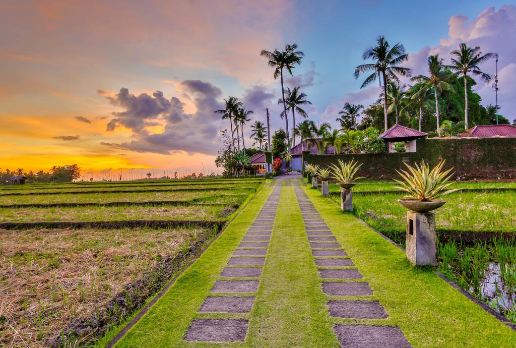 Villa Kaba Kaba Resort Canggu Exteriör bild