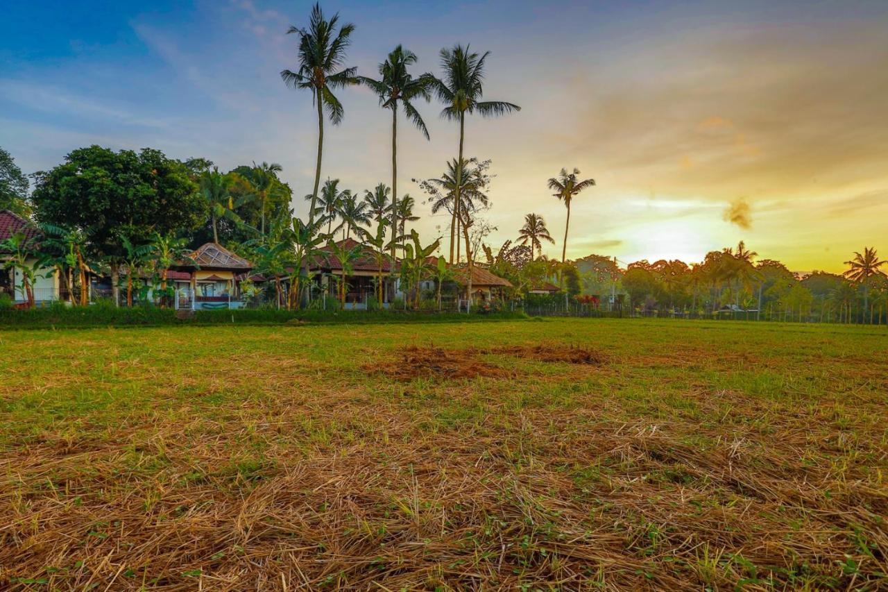 Villa Kaba Kaba Resort Canggu Exteriör bild